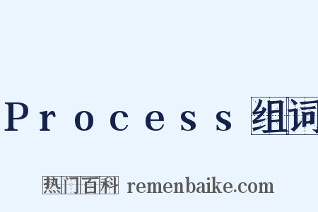 Process组词是什么意思的图片